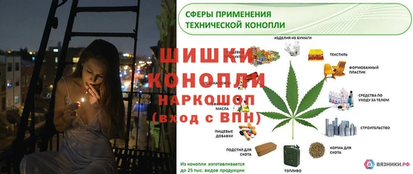 эйфоретик Гусиноозёрск