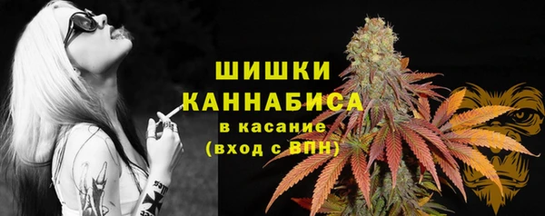 эйфоретик Гусиноозёрск