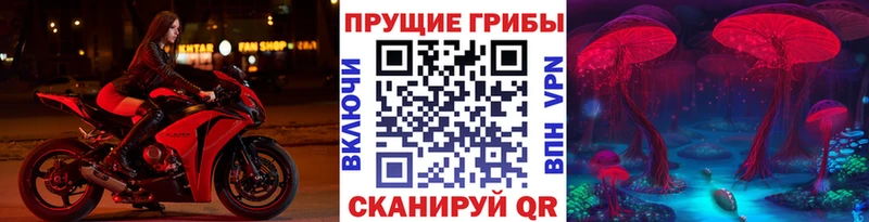 Купить закладки  Александров  Псилоцибиновые грибы мицелий 